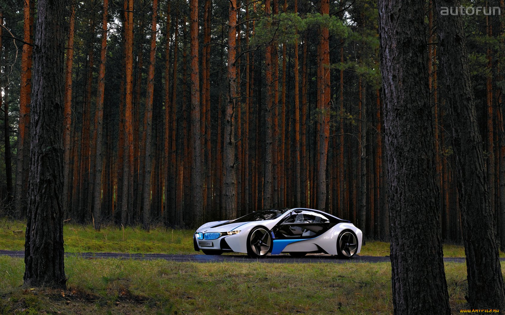 bmw, vision, efficientdynamics, 